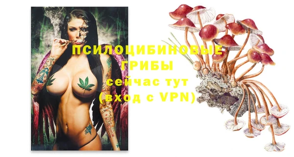 мескалин Вязьма