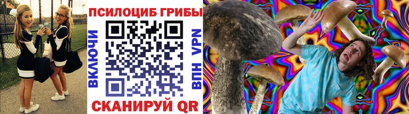 Купить  Зеленокумск  Псилоцибиновые грибы Psilocybine cubensis 